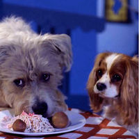 Disney prepara el 'remake' de "La dama y el vagabundo", y la historia que hay detrás del perro protagonista nos ha emocionado