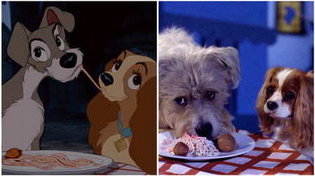 Disney prepara el 'remake' de "La dama y el vagabundo", y la historia que hay detrás del perro protagonista nos ha emocionado