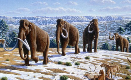 Mamut Lanudo Ilustracion
