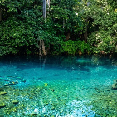 Este es el paraíso de agua azul tipo Caribe en Morelos donde puedes nadar cerca de CDMX: ideal para el puente de mayo