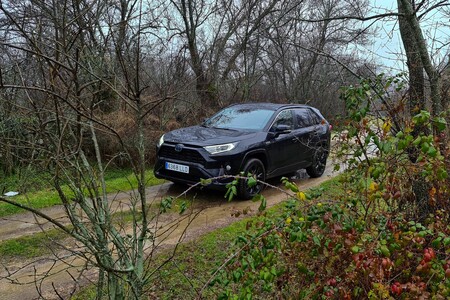 Toyota Rav4 Black Pack 3