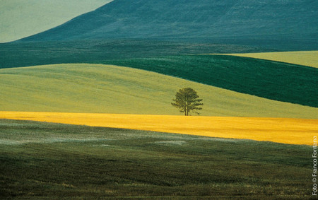 ‘Franco Fontana. Fotografía’, una exposición antológica sobre el maestro del color abstracto en el Centro Niemeyer de Avilés