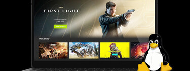 Epic Games, GOG y NVIDIA coinciden en algo que parecía imposible hace unos años, y los usuarios de Linux son los principales beneficiados 