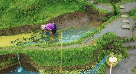 Vídeos inspiradores: redescubriendo la belleza de Bali