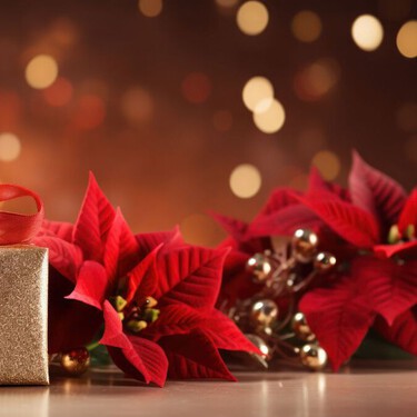 Complementa tus Nochebuenas con estas 3 plantas con flores rojas: resisten al frío y son fáciles de cuidar