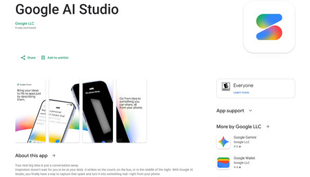 Página de registro previo para la app de Google AI Studio
