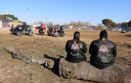 Zona Acampada Pinguinos