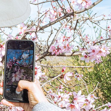 Las rutas y paseos menos conocidos de España para ver almendros en flor: una escapada perfecta de primavera