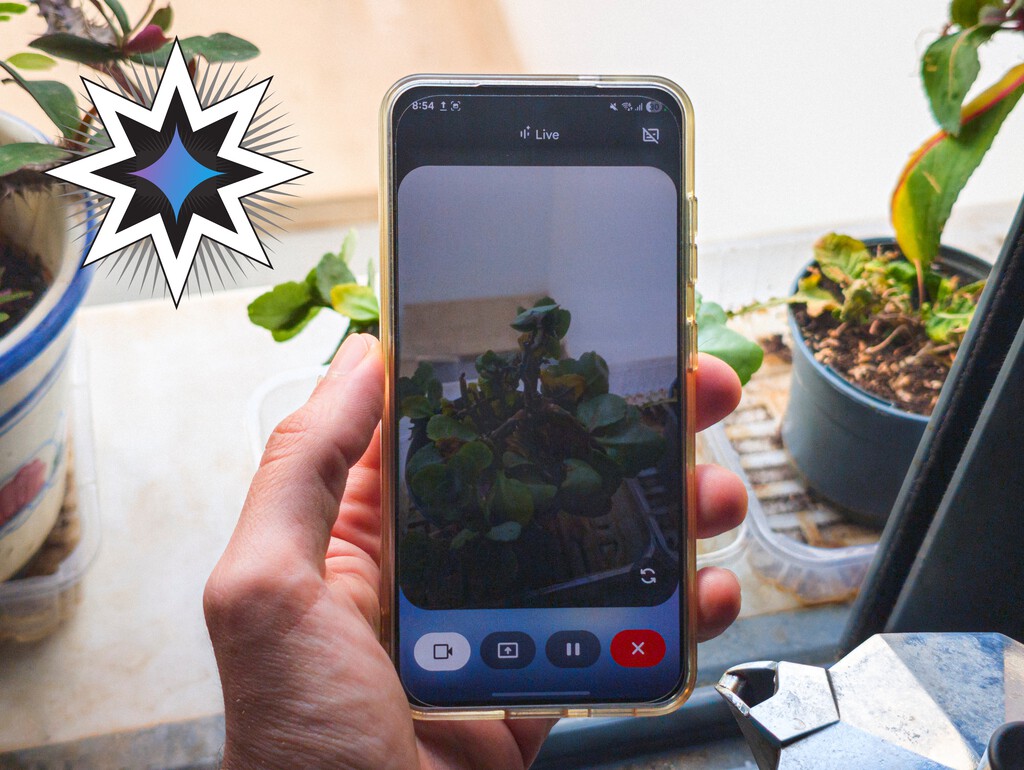 He acabado usando Gemini para lo que menos esperaba: cuidar de mis plantas 