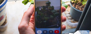 He acabado usando Gemini para lo que menos esperaba: cuidar de mis plantas