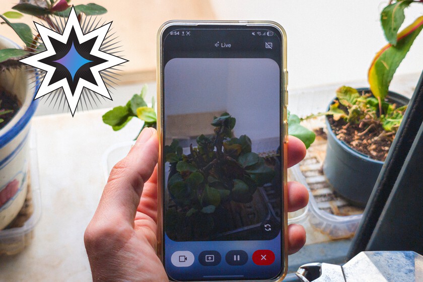 He acabado usando Gemini para lo que menos esperaba: cuidar de mis plantas