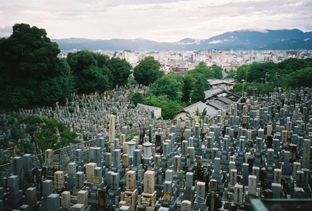 ¿Cuánto terreno se necesita para enterrar a toda la gente que muere en un año?