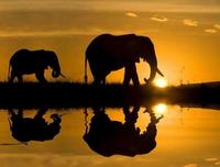 ¿Por qué África es un gran, gran, gran desconocido?