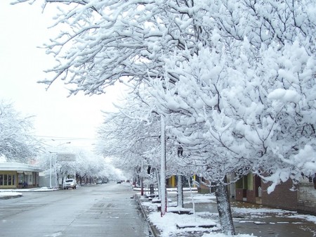 ECO-FLAPS: Prueba de larga duración (invierno)