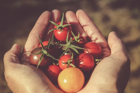 Estas son las frutas y verduras que están de temporada (y 23 recetas para disfrutarlas este verano)