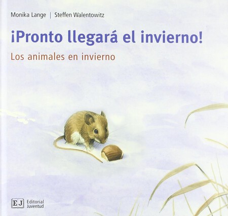 cuento