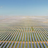 China cubrió un desierto con paneles solares: demostró que puede cambiar el ecosistema para siempre 