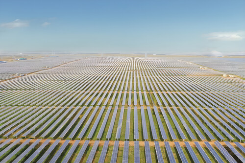 China cubrió un desierto con paneles solares: demostró que puede cambiar el ecosistema para siempre