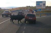¿Cómo te sientes cuando un toro embiste tu coche?