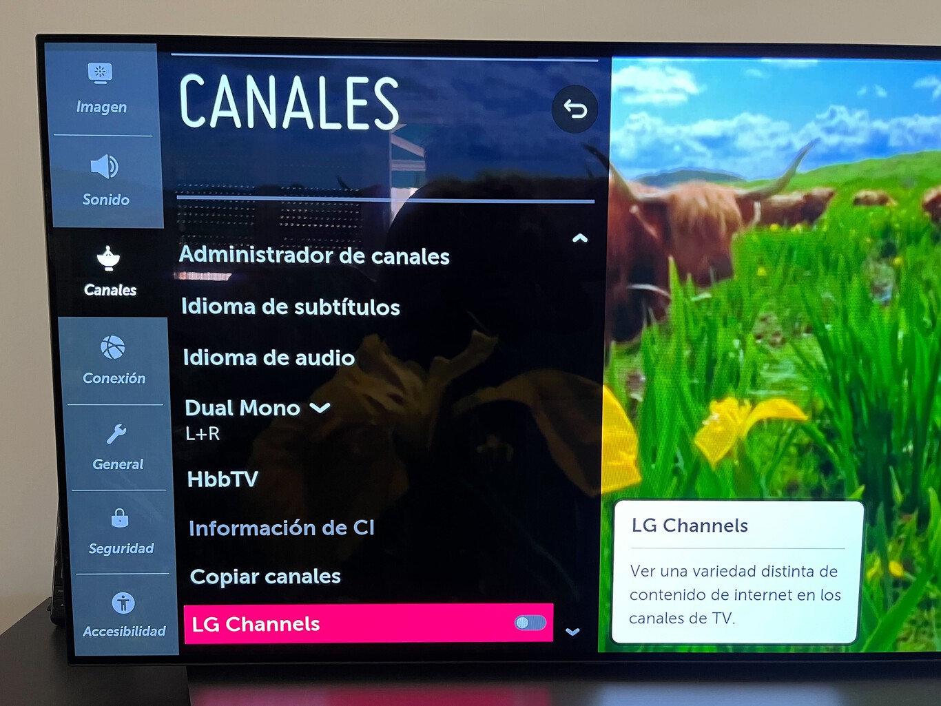 Cómo ver gratis más de 1.900 canales de televisión activando los LG
