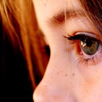 Cómo proteger a tu hijo del abuso sexual: señales de alarma y pautas para la prevención