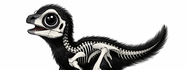 Um filhote de dinossauro foi encontrado por cientistas e se trata de uma nova espécie descoberta — o mais impressionante é que ele é extremamente fofo