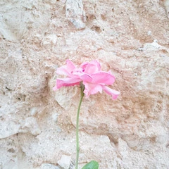 Foto 26 de 37 de la galería canon-eos-m6 en Xataka Foto