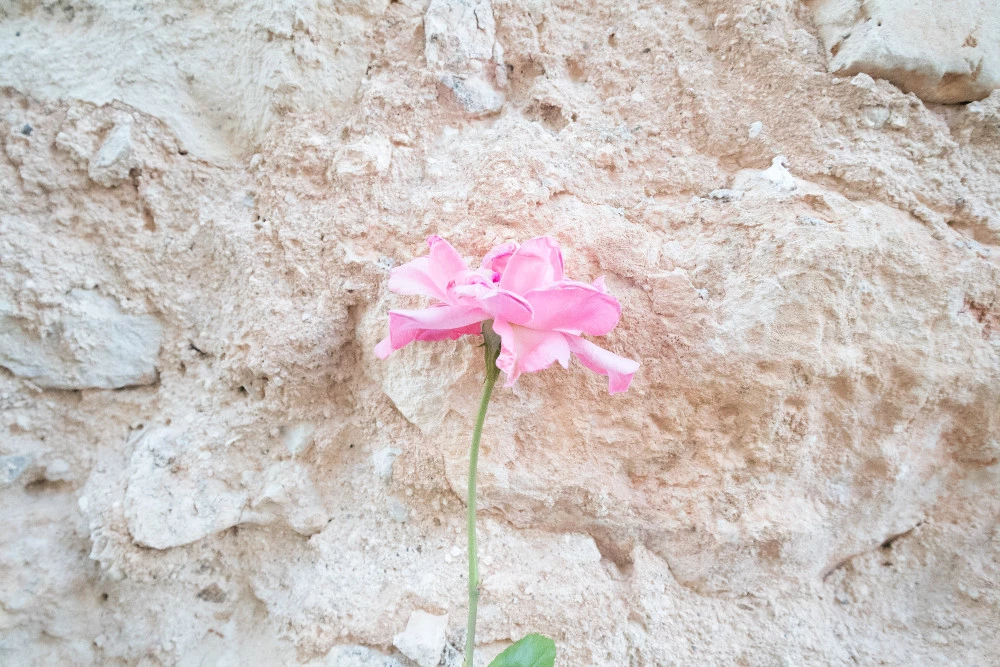 Foto de Canon EOS M6 (26/37)