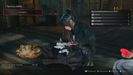 Gatos Yokohama Recursos 1