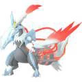 Kyurem Blanco
