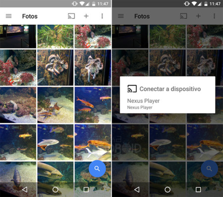Google Fotos 1.6 para Android: soporte Chromecast y etiquetas privadas