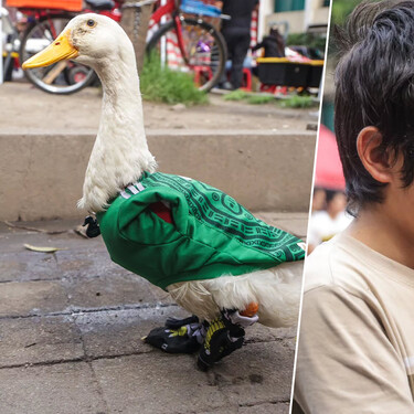 Nadie sabe cómo se llaman las mascotas de la FIFA, pero en México hay una que se ha hecho viral sin la necesidad de predecir los resultados 