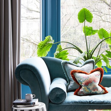 La planta de interior bonita y resistente ideal para el otoño: soporta la falta de agua, de luz e incluso a la calefacción