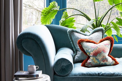 Zamioculca zamiifolia