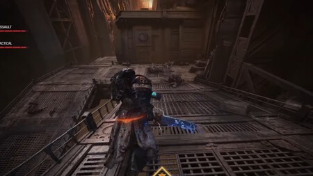 Extraccion Semillas 2