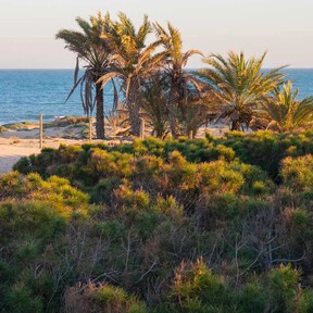 Parece el norte de África, pero está a menos de una hora de Alicante: el pueblo de pescadores con dunas y un bosque junto al mar