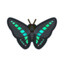 Blue Triangle Butterfly
