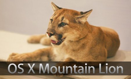 OS X Mountain Lion, repaso visual de todas sus pequeñas novedades (2ª parte)