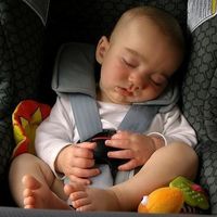Un novedoso sistema de alarma por radares previene que niños o mascotas se queden encerrados en el coche