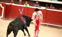 Reducir el IVA de las corridas de toros sería una mala decisión, al menos por ahora