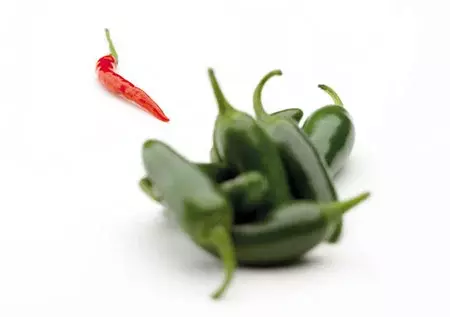 Microcultivos: germinados y microvegetales