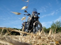 Yamaha XT660Z Tenere, conclusiones y ficha técnica (4/4)