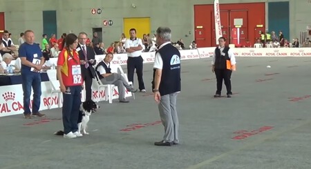Oci Italia Campeonato 2015
