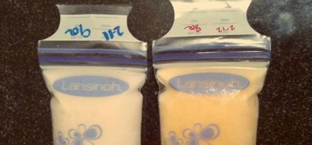¿Por qué una foto de dos bolsas de leche de una madre se ha hecho viral?