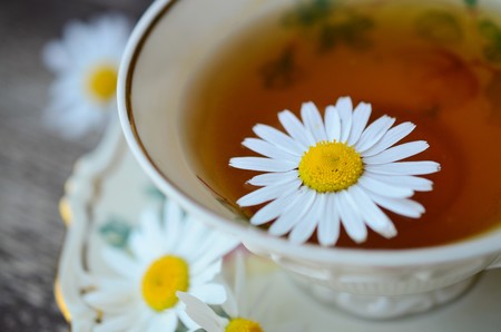 Chamomile 829487 1920