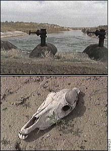 La isla de Renacimiento: un lugar que oculta un generador de muerte bajo tierra