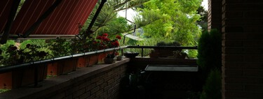 Ya en web y el lunes en tiendas Lidl: las luces solares para balcón que se encienden automáticamente al caer la noche 