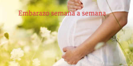 Embarazo-Semana-Semana