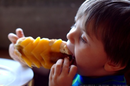 El estudio ALSALMA indica que más del 90% de los niños de entre 1 y 3 años consumen más del doble de las proteínas recomendadas