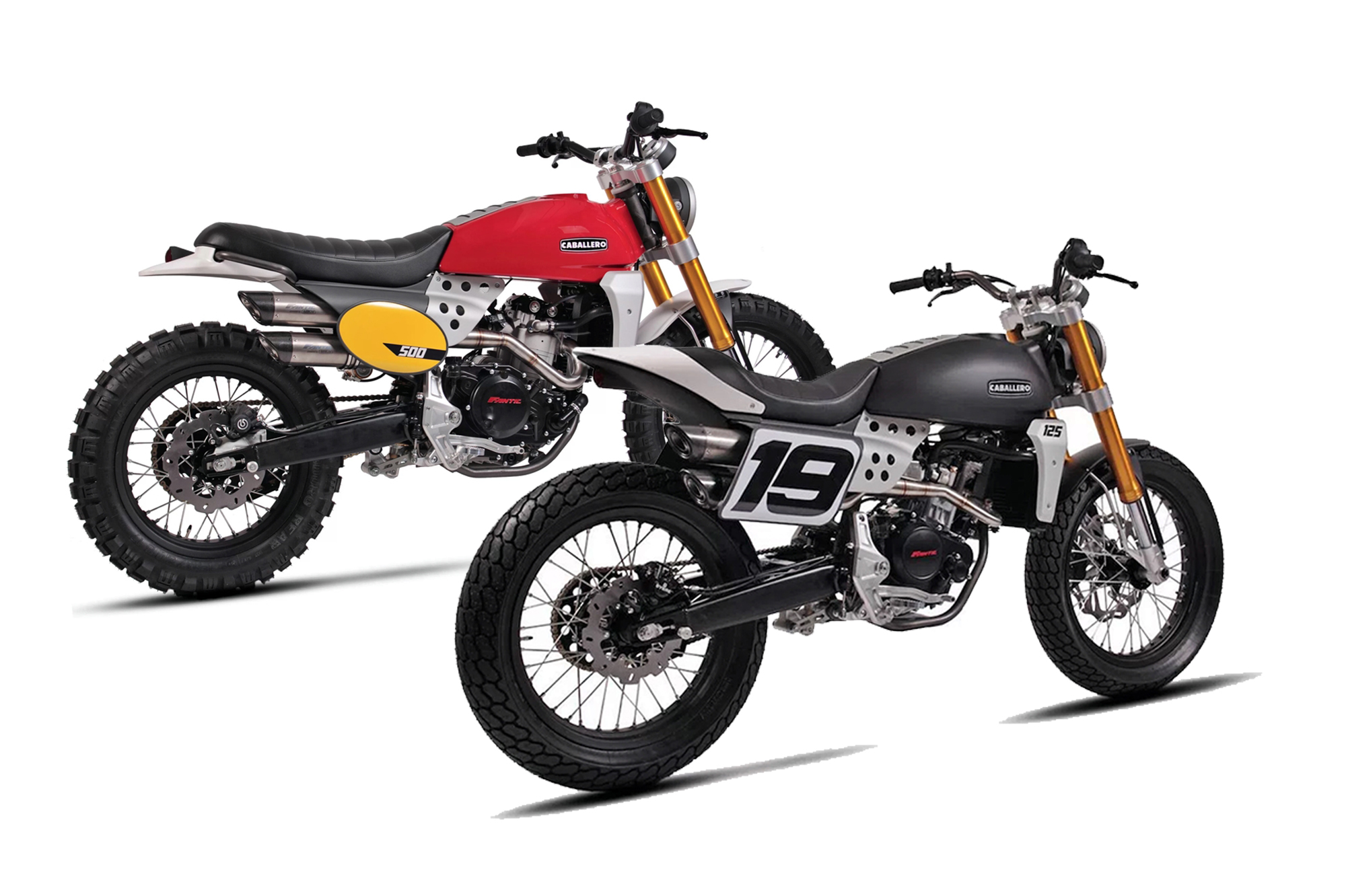 fantic caballero 250 rally